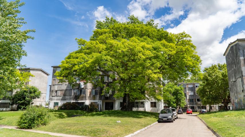 CH 67 - Tres Ombúes