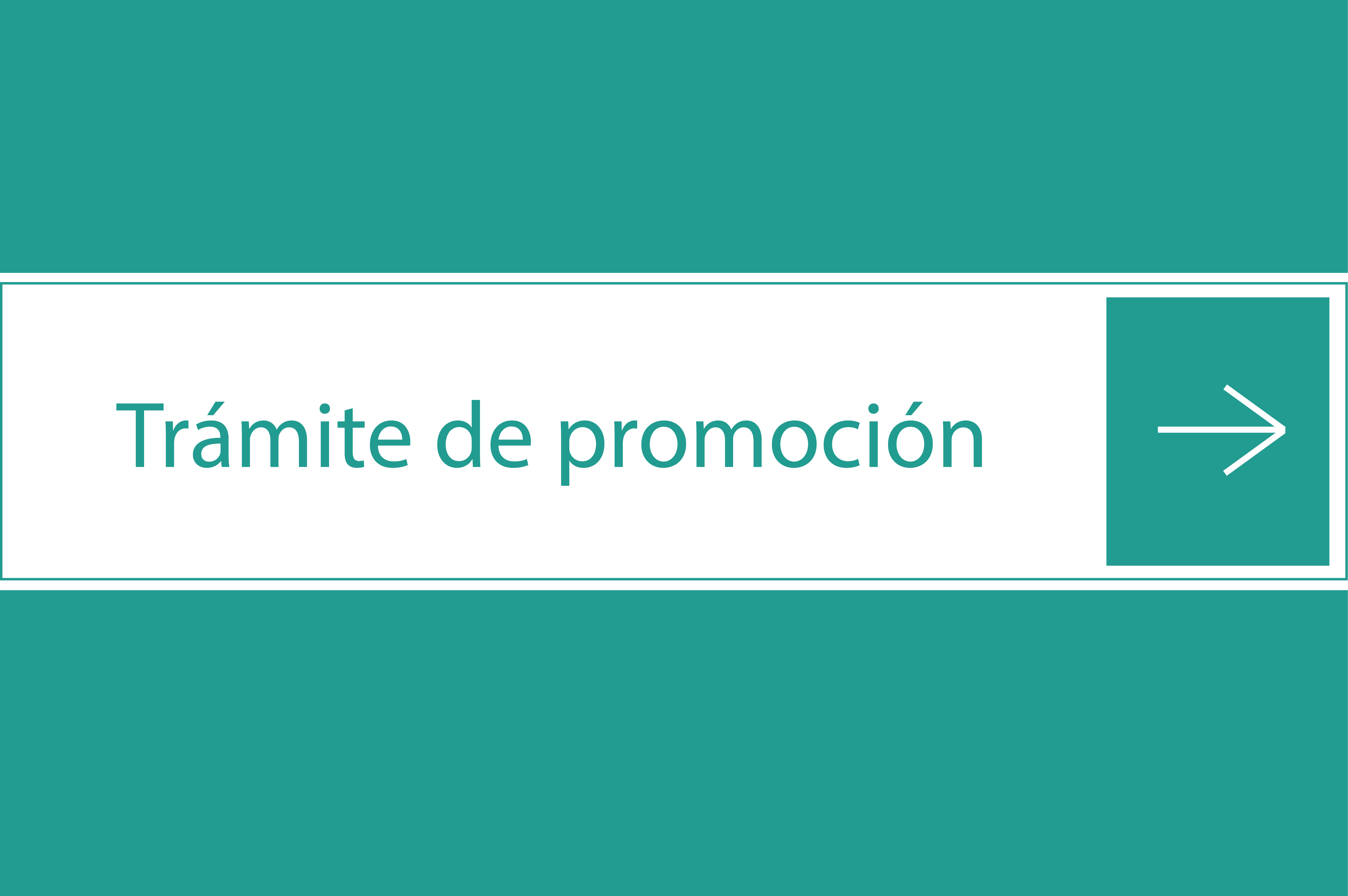 Impresión de pantalla de la web donde se encuentra el botón