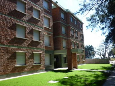 Colonia