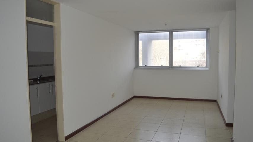 Living-comedor