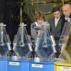 Sorteo