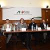 Participantes